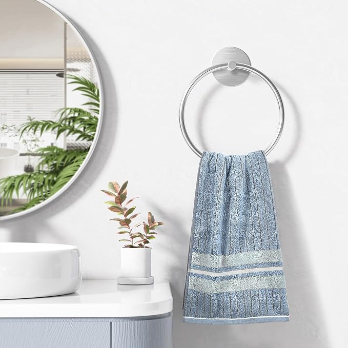 Stainless Steel Countertop Towel Rack